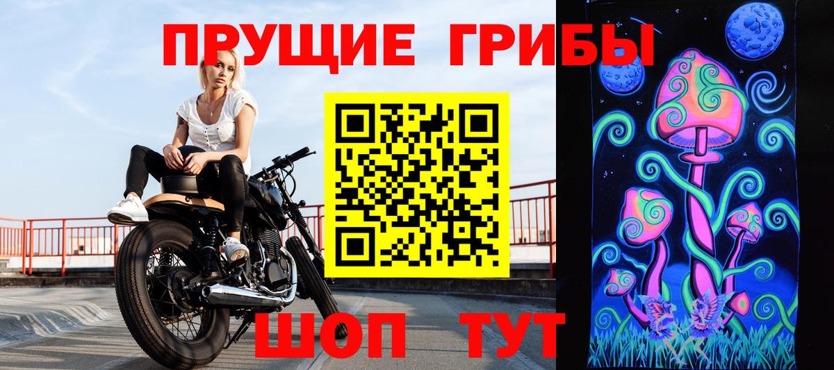 Галлюциногенные грибы Cubensis Ростов Великий